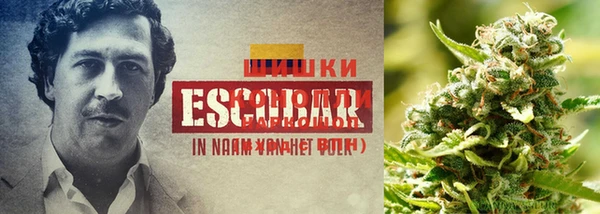 марки nbome Абинск