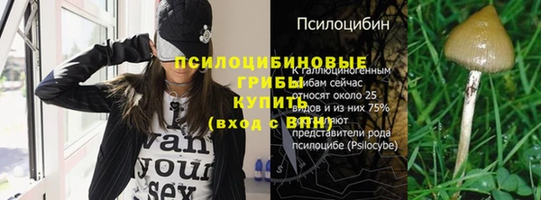 спайс Алзамай