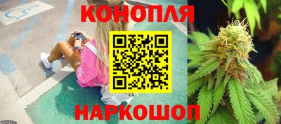 гашик Татарск