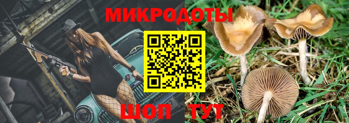 Галлюциногенные грибы ЛСД Псков